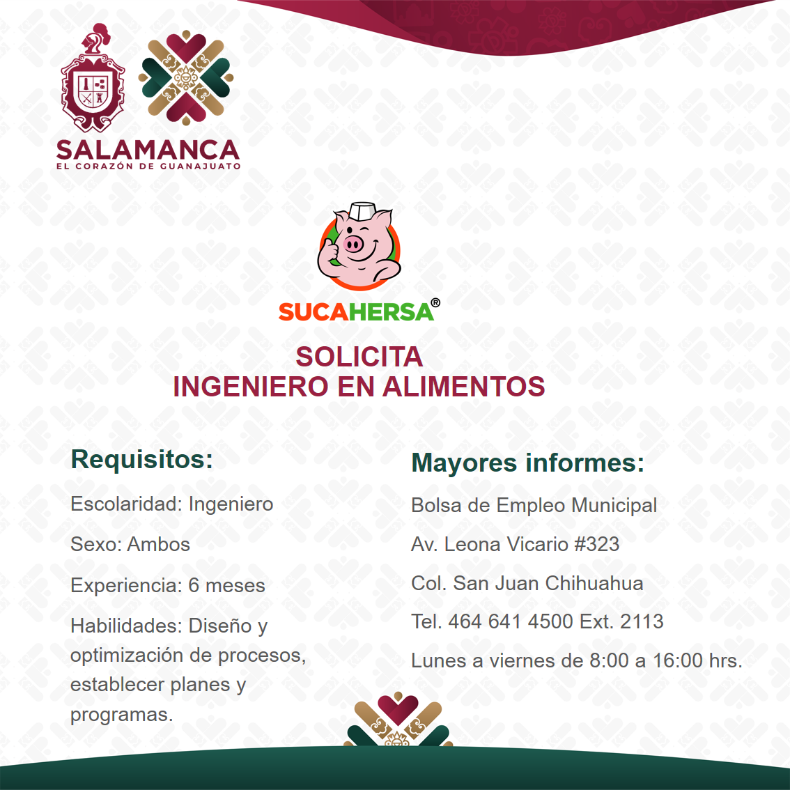 Ingeniero en alimentos